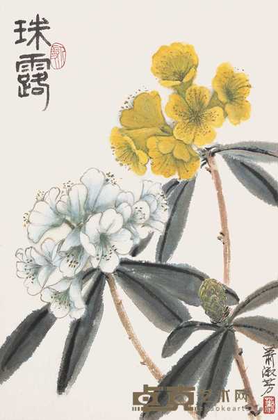 萧淑芳 珠露 镜心 52×34.5cm